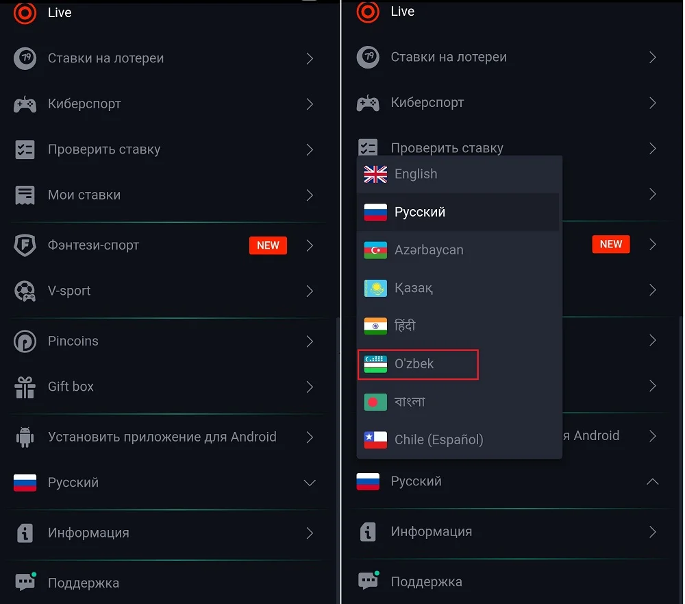 Pinup o'zbekcha tilda